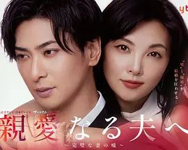 致親愛(ài)的丈夫 完美妻子的謊言海報(bào)