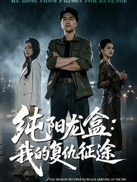 純陽龍盒：我的復(fù)仇征途海報