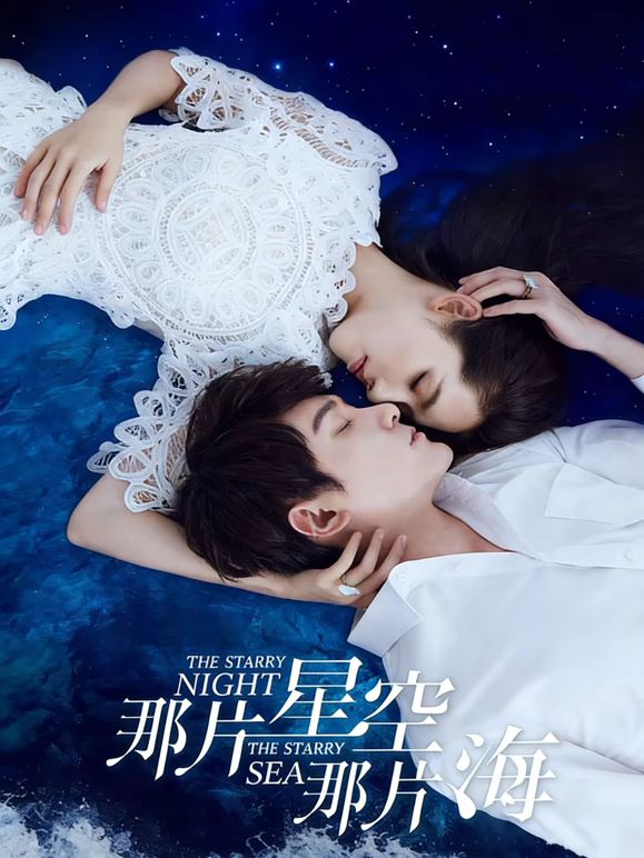 那片星空那片海海報(bào)