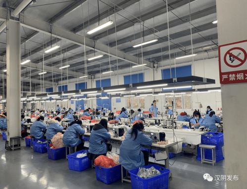 漢陰一季度扎實推進穩就業促發展工作 聯絡總公司業務顯成效